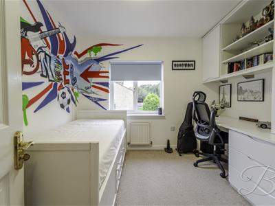 Picture 41